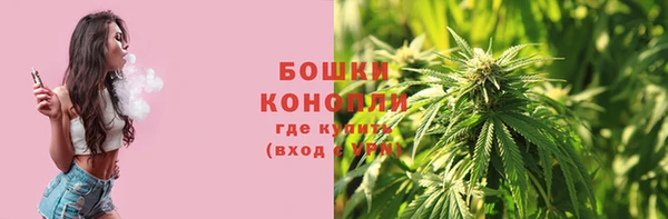индика Гусь-Хрустальный