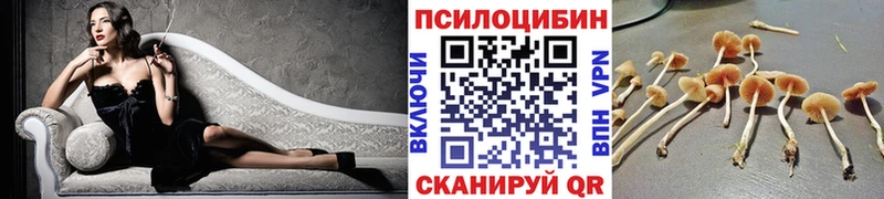 продажа наркотиков  Кирс  Галлюциногенные грибы GOLDEN TEACHER 
