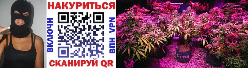 Каннабис Bruce Banner  маркетплейс формула  Кирс 